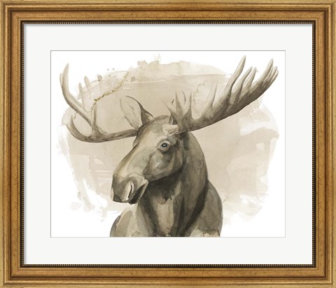 Framed Bull Moose II Print
