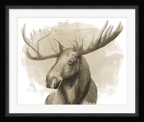 Framed Bull Moose II Print