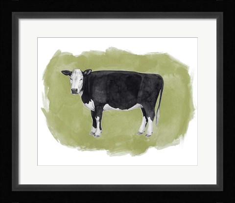 Framed Hereford Graze II Print