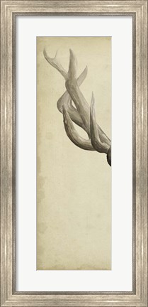 Framed Triptych Elk I Print