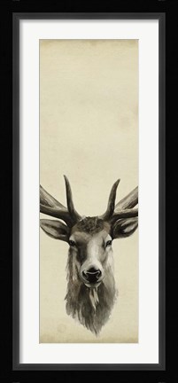 Framed Triptych Elk II Print