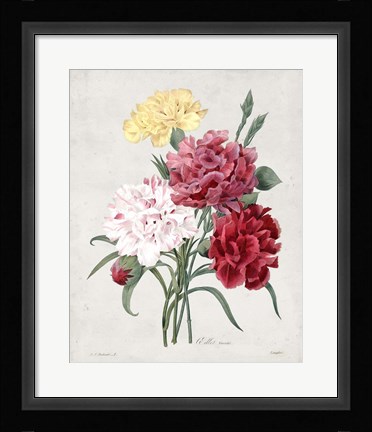 Framed Bouquet I Print