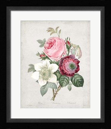 Framed Bouquet IV Print