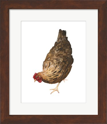 Framed Autumn Chicken II Print