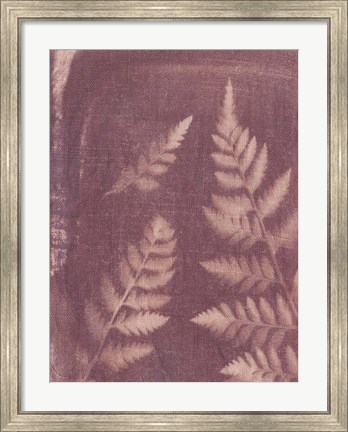 Framed Botanical Sun I Print