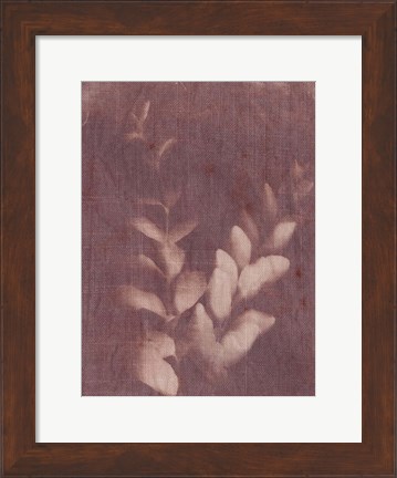 Framed Botanical Sun II Print