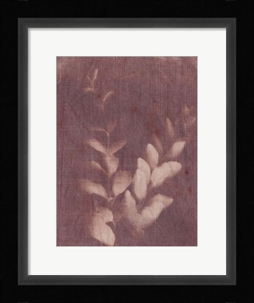 Framed Botanical Sun II Print