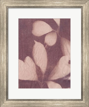 Framed Botanical Sun III Print