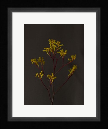 Framed Dark &amp; Dreamy IV Print