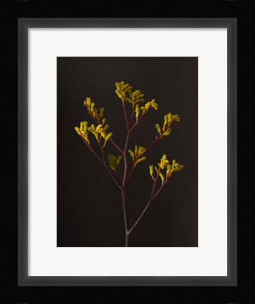 Framed Dark &amp; Dreamy V Print