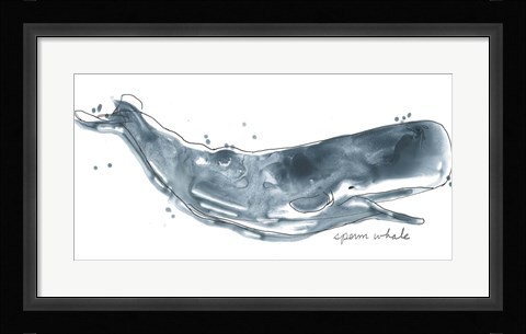 Framed Cetacea Sperm Whale Print