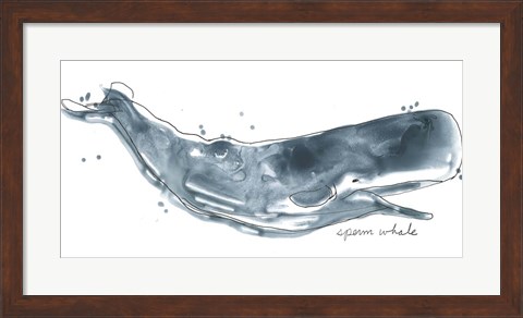 Framed Cetacea Sperm Whale Print