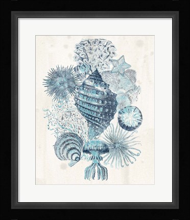 Framed Coastal Melange II Print