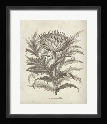 Framed Fresco Artichoke I Print