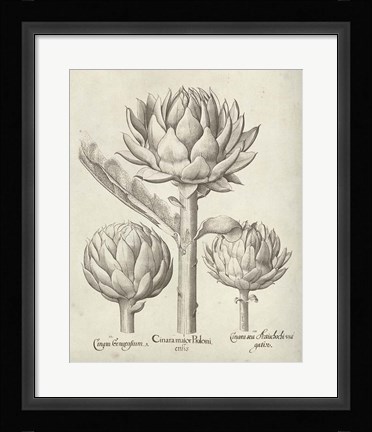 Framed Fresco Artichoke II Print