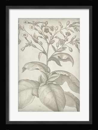 Framed Classic Romance I Print