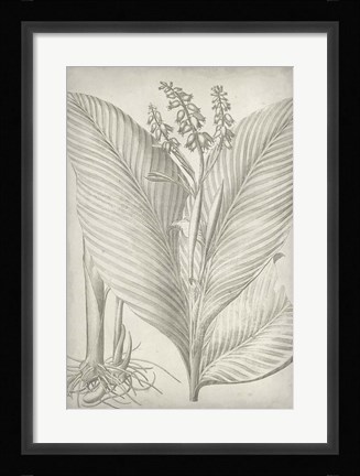 Framed Classic Romance II Print