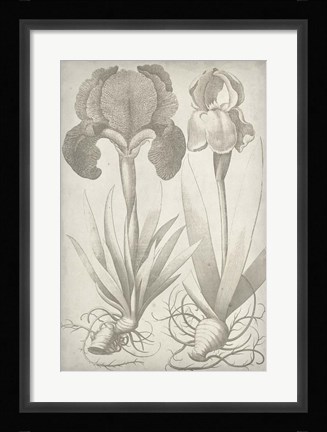 Framed Classic Romance IV Print