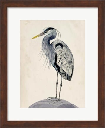 Framed Blue Heron Rendering II Print