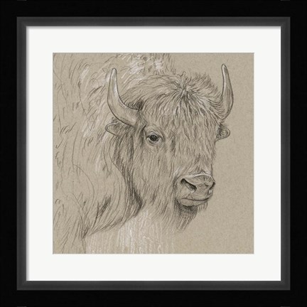 Framed Bison Sketch I Print