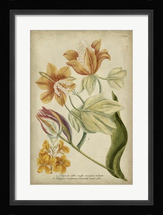 Framed Tropical Floral II Print