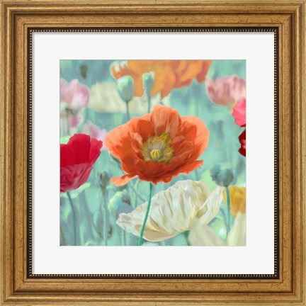 Framed Poppies in Bloom I Print