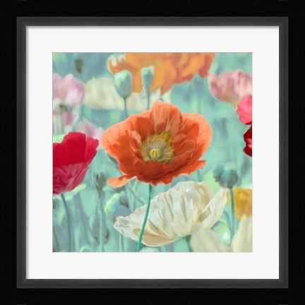 Framed Poppies in Bloom I Print
