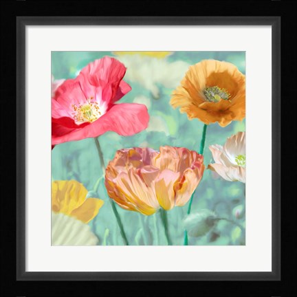 Framed Poppies in Bloom II Print