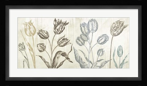 Framed Botaniques Cochin #1 (suede) Print