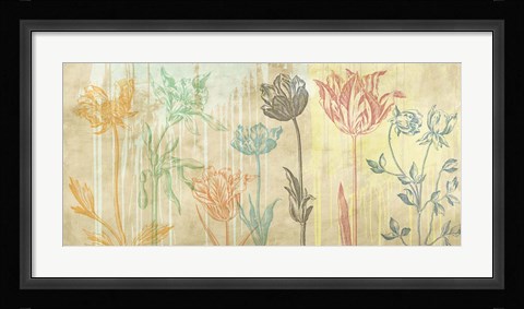 Framed Botaniques Cochin #2 (coleurs) Print