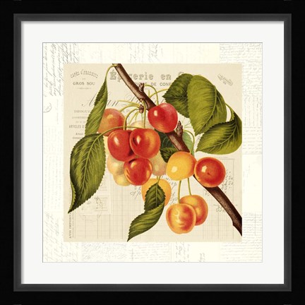 Framed Cerises Print