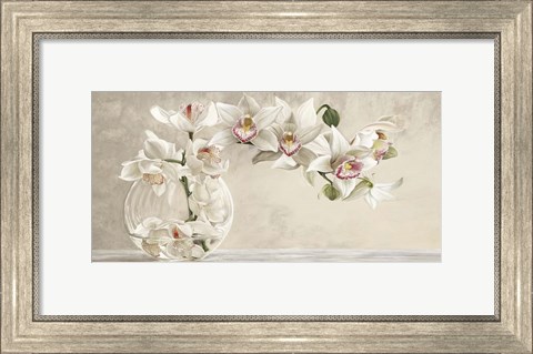 Framed Orchid Arrangement I Print