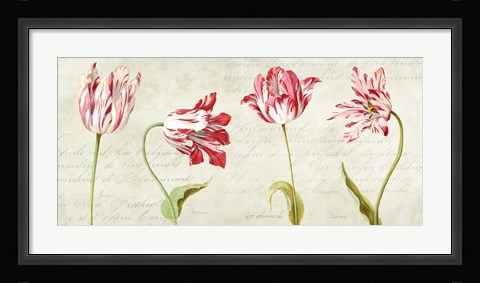 Framed Botaniques Moderne Print