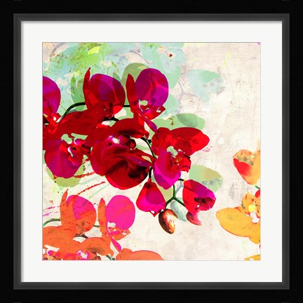 Framed Orchidreams (detail) Print