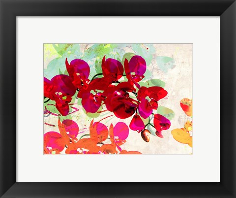Framed Orchidreams Print