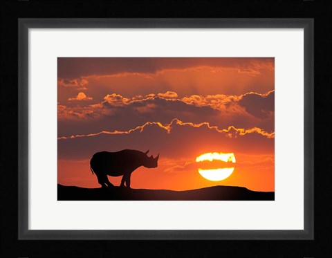 Framed Kenya, Masai Mara Composite Of White Rhino Silhouette And Sunset Print