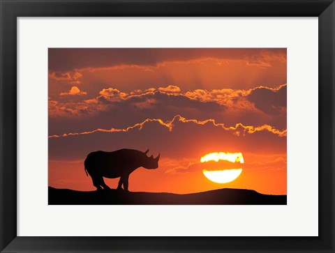 Framed Kenya, Masai Mara Composite Of White Rhino Silhouette And Sunset Print