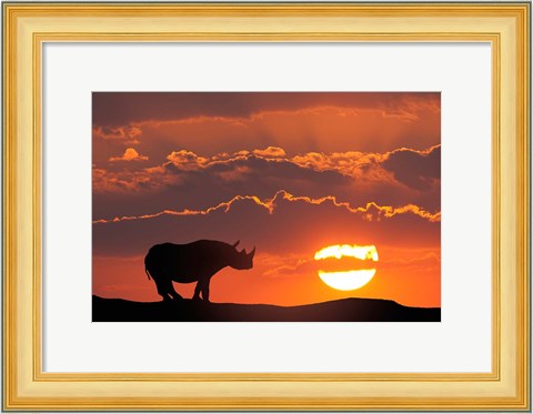 Framed Kenya, Masai Mara Composite Of White Rhino Silhouette And Sunset Print