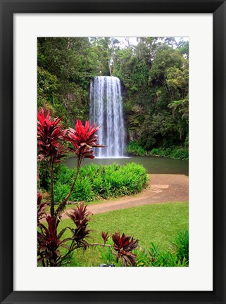 Framed Millaa Millaa Falls, Queensland, Australia Print