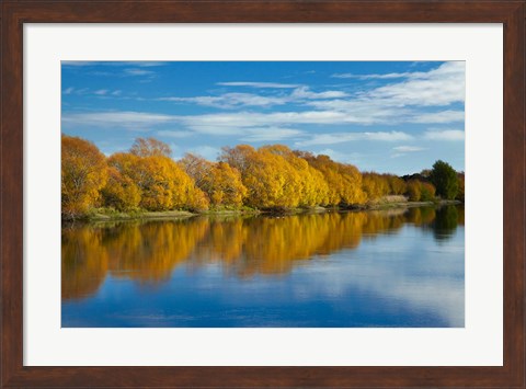 Framed Autumn Colour And Clutha River At Kaitangata, South Island, New Zealand Print