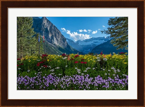 Framed Wildflowers In Banff National Park Print