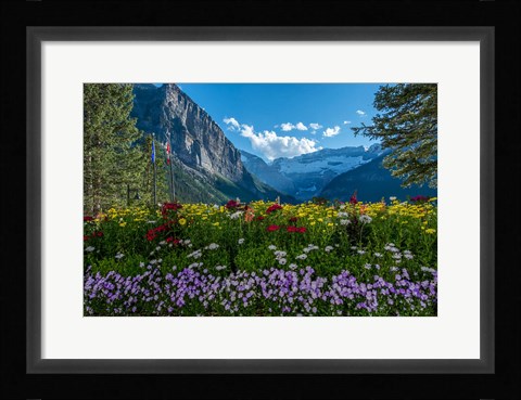 Framed Wildflowers In Banff National Park Print