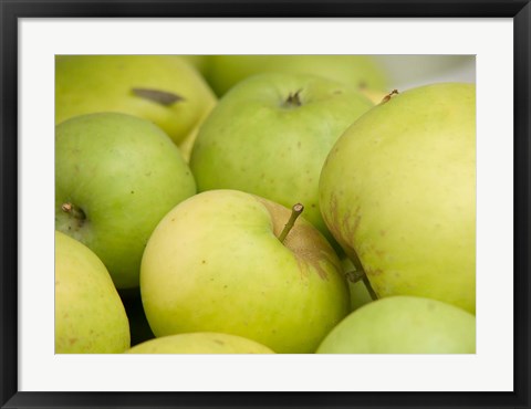 Framed Canada, British Columbia, Cowichan Valley Close-Up Of Green Apples Print