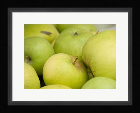Framed Canada, British Columbia, Cowichan Valley Close-Up Of Green Apples Print