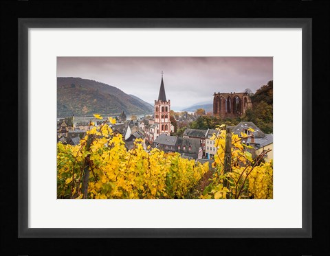 Framed Germany, Rhineland-Pfalz, Bacharach, Elevated Town View In Autumn Print