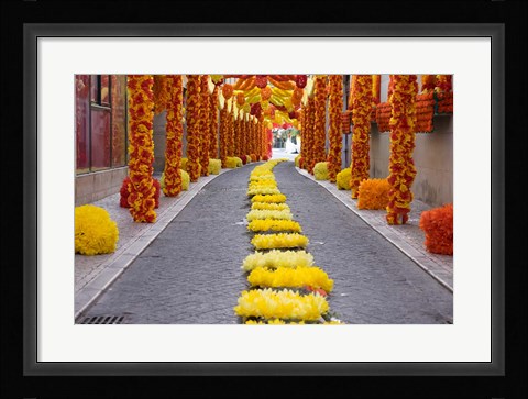 Framed Portugal, Santarem District Trays Festival Print