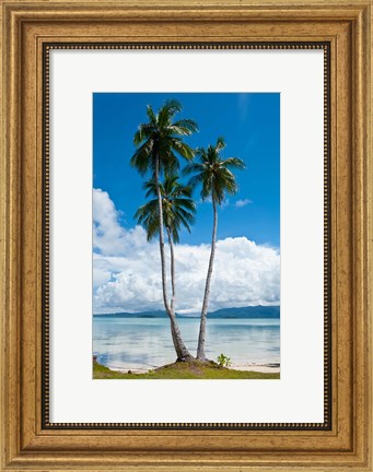 Framed Lonely Palm Tree In The Marovo Lagoon, Solomon Islands Print
