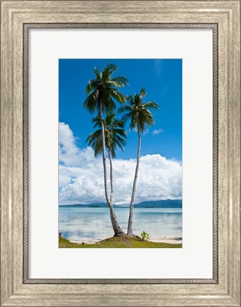 Framed Lonely Palm Tree In The Marovo Lagoon, Solomon Islands Print