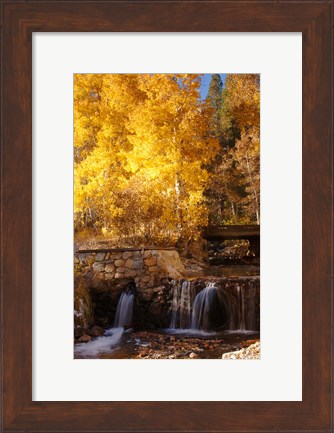 Framed Autumn Waterfalls In The Sierra Print