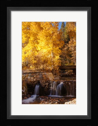 Framed Autumn Waterfalls In The Sierra Print